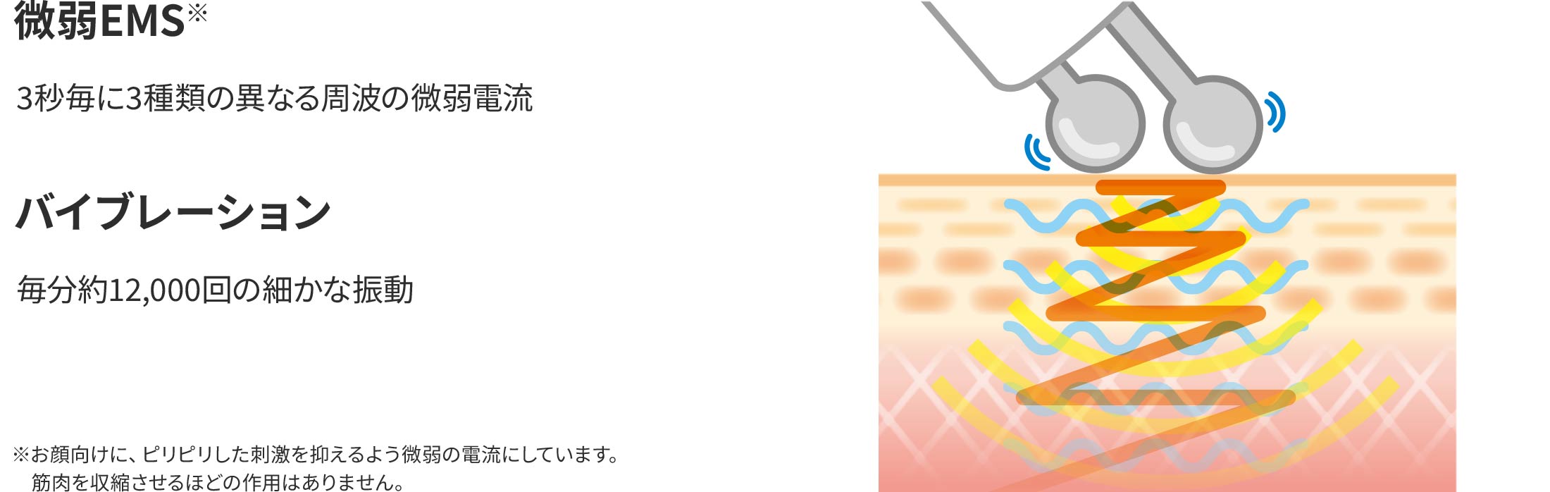 ブランフィーネ ダブルブースタープラス | 株式会社ヴァルテックス